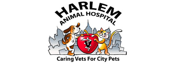google-site-verification=uA27HWvgsUQXFxq30RaMjVVr8X2PdpQIwgMKezAS52Q Harlem  Animal Hospital - Veterinarian in Harlem, NY US